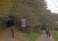 Coger el tunel más bajo
